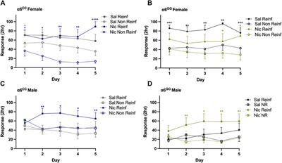 Sub-chronic nicotine exposure influences methamphetamine self-administration and dopamine overflow in a sex-and genotype-dependent manner in humanized CHRNA6 3′-UTR SNP (rs2304297) adolescent rats